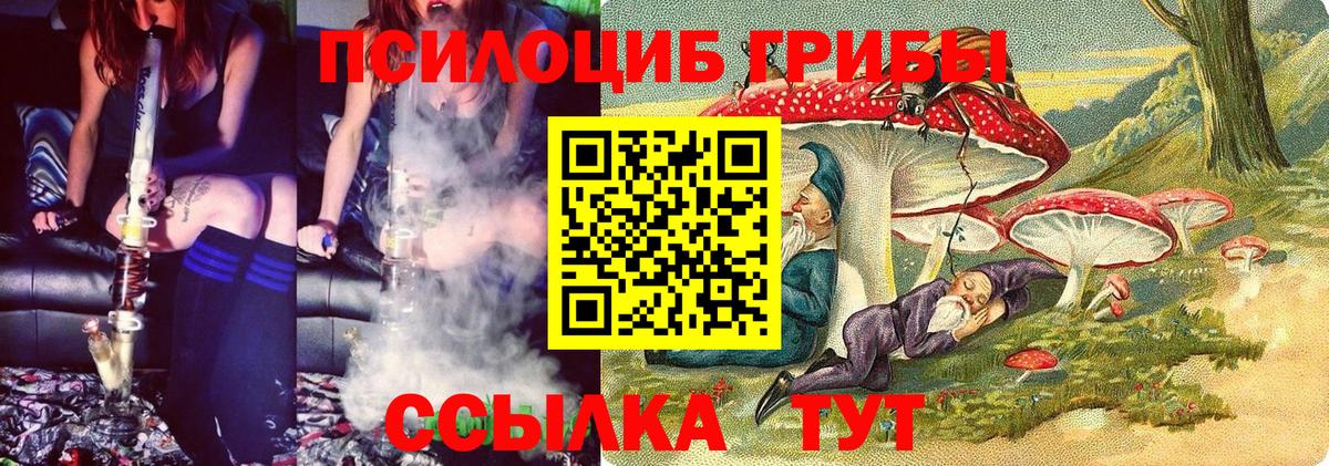 Псилоцибиновые грибы прущие грибы Каменск-Шахтинский