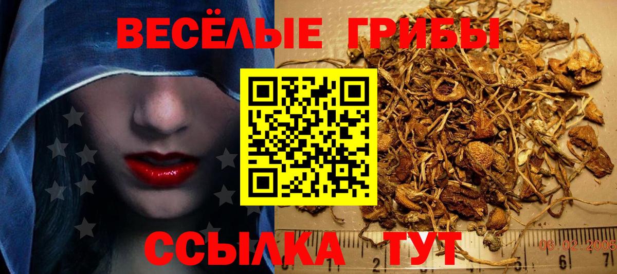 Каменск-Шахтинский  Галлюциногенные грибы прущие грибы  наркотики  Псилоцибиновые грибы прущие грибы  Вход с VPN 